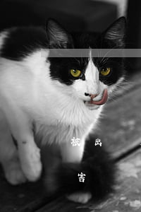 被出軌后怎樣做才可以請(qǐng)求損害賠償？